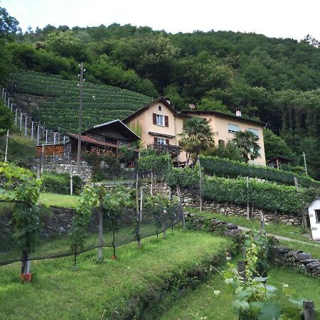 Casa Immersa Nel Vigneto Roveredo Buitenkant foto