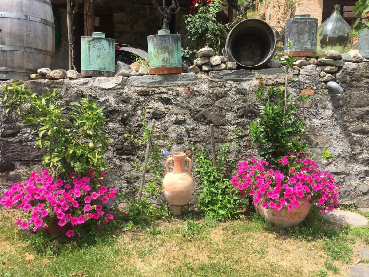 Casa Immersa Nel Vigneto Roveredo Buitenkant foto
