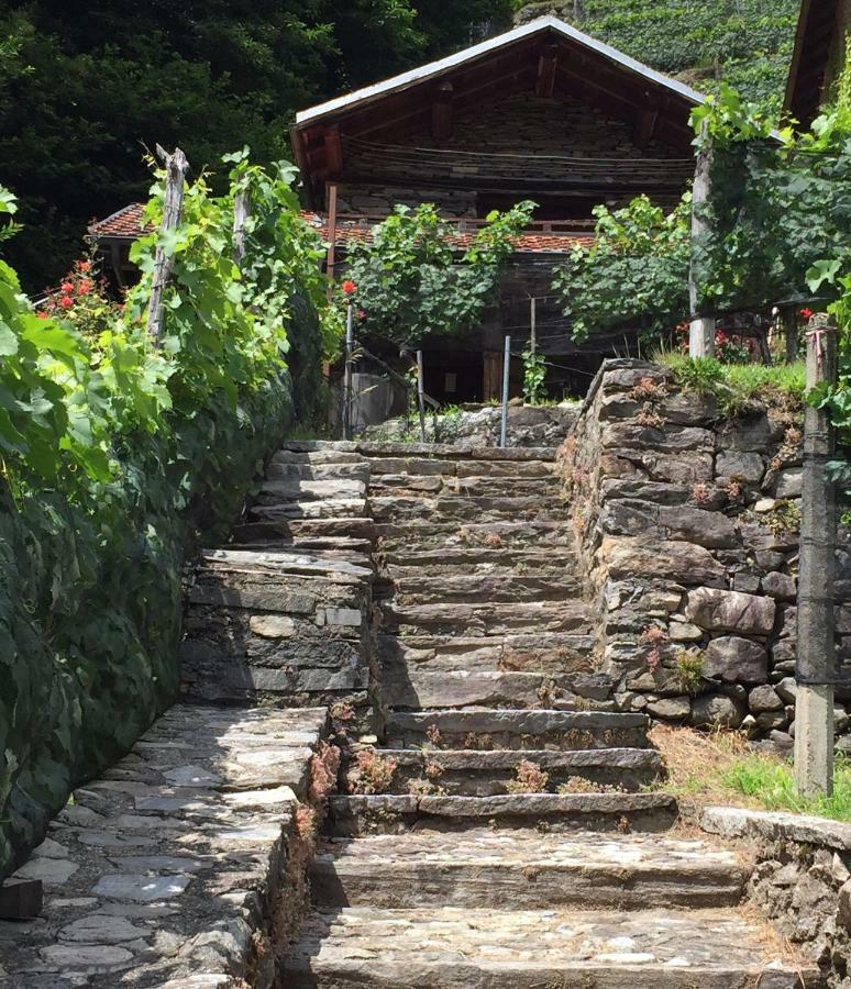 Casa Immersa Nel Vigneto Roveredo Buitenkant foto