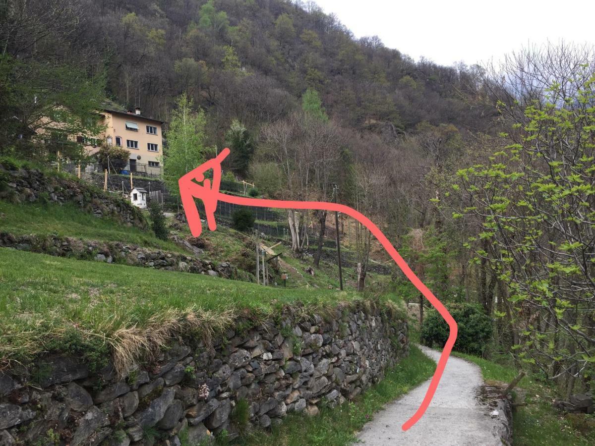 Casa Immersa Nel Vigneto Roveredo Buitenkant foto